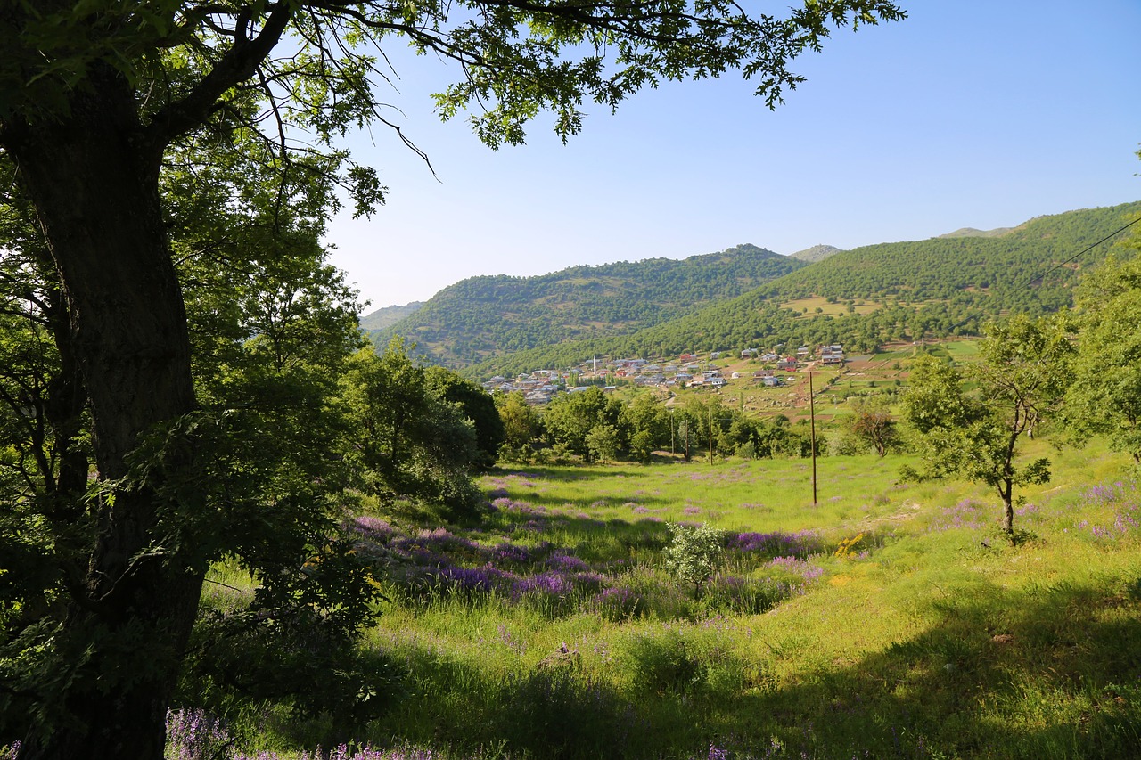 nature  village  anatolia free photo