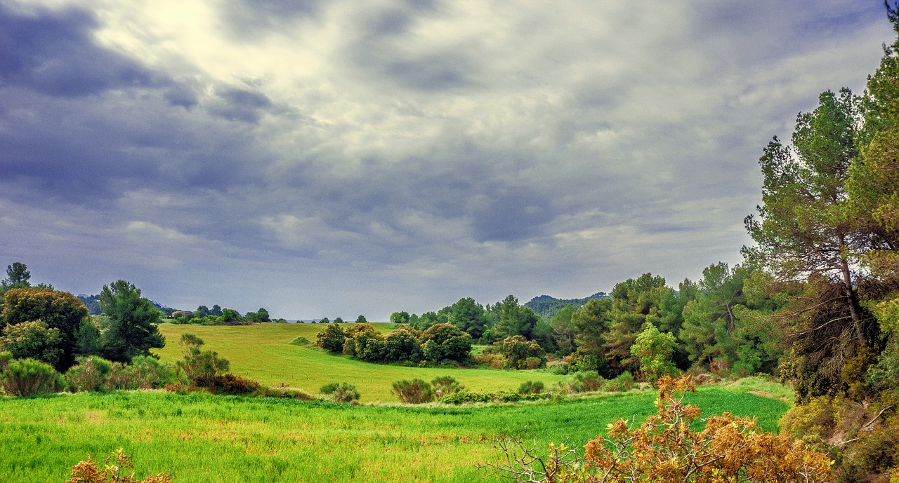 nature  landscapes  rural landscape free photo