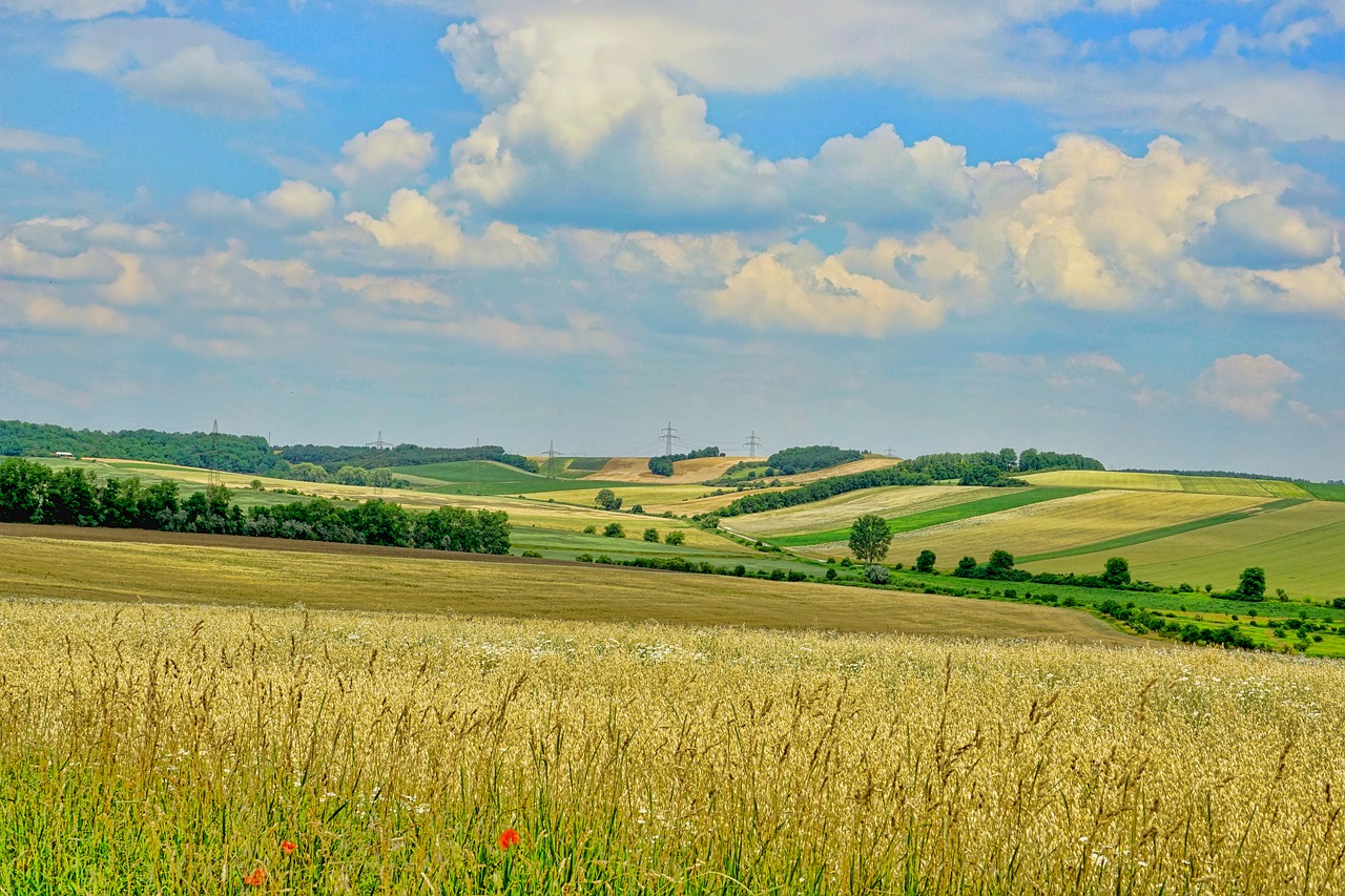 nature  landscape  panorama free photo