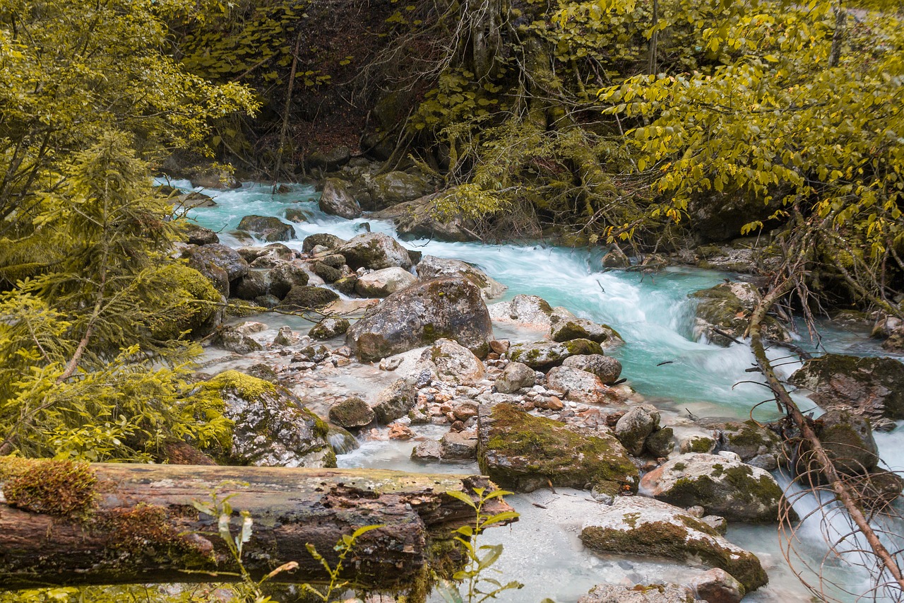 nature  water  river free photo