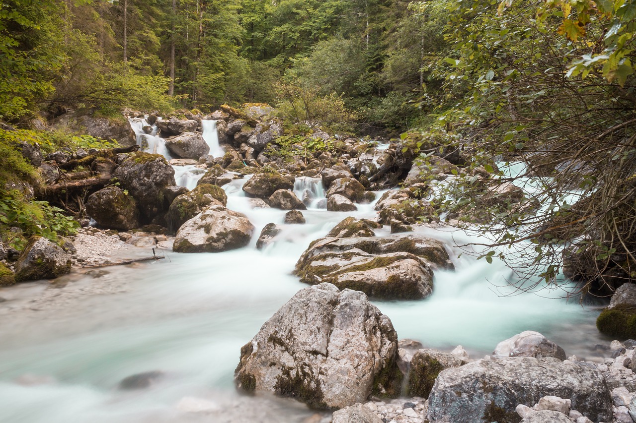 nature  water  river free photo