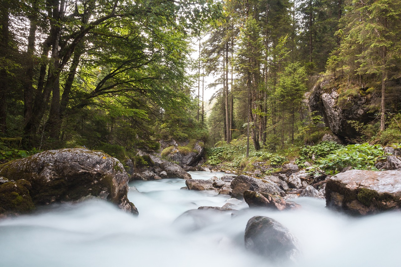 nature  water  river free photo