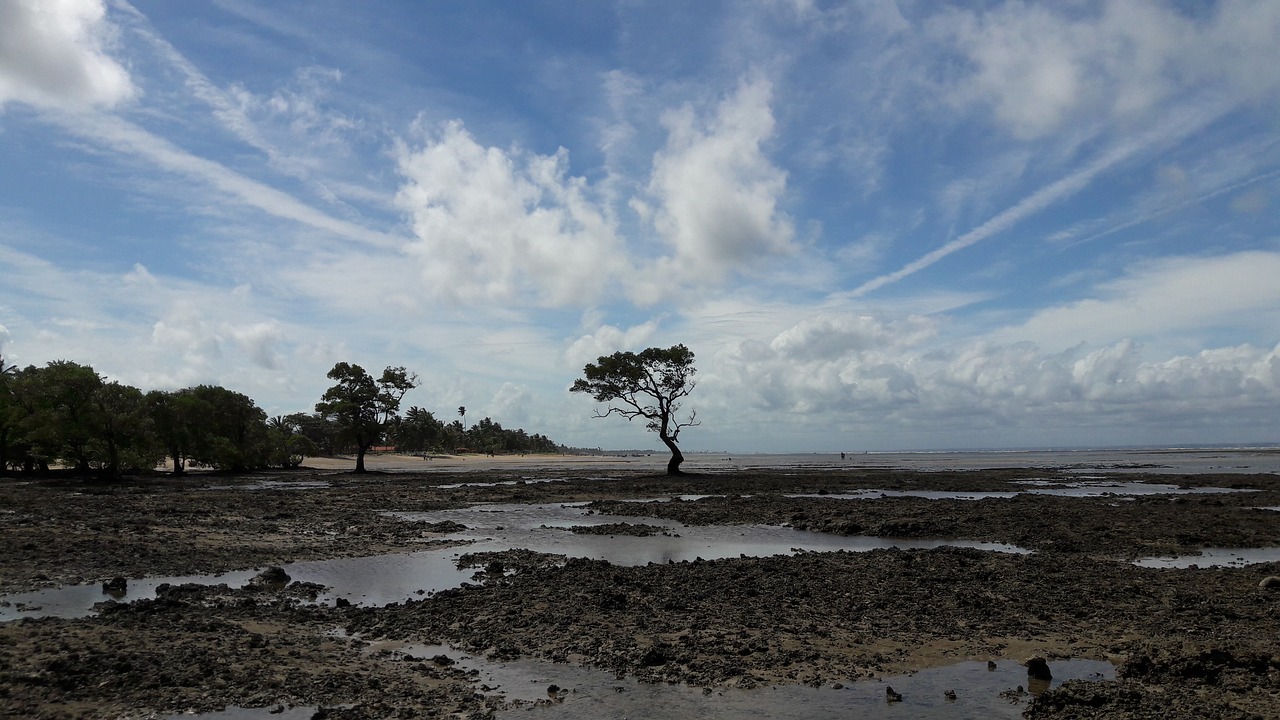 nature  sky  panorama free photo