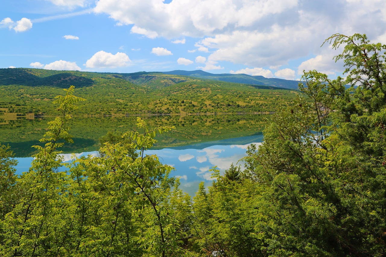 nature  reflection  water free photo