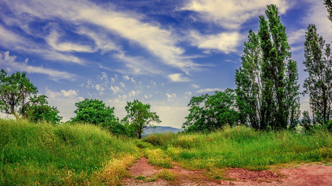 nature  landscapes  clouds free photo