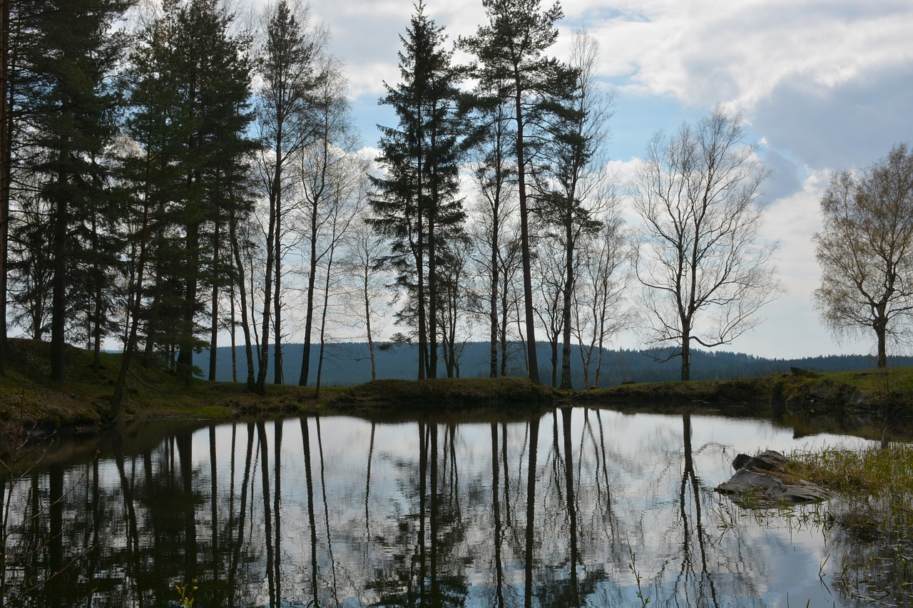 nature  reflection  water free photo