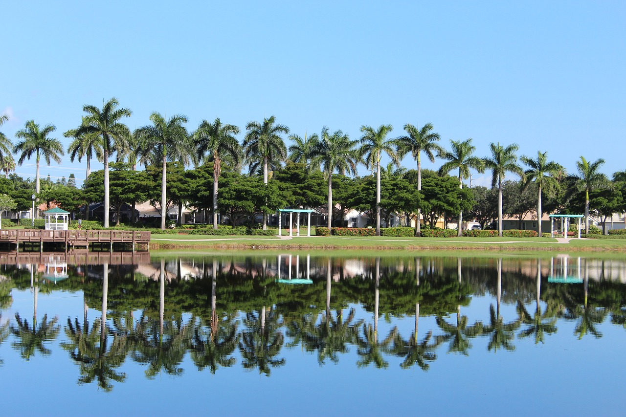 nature  palmas  lake free photo