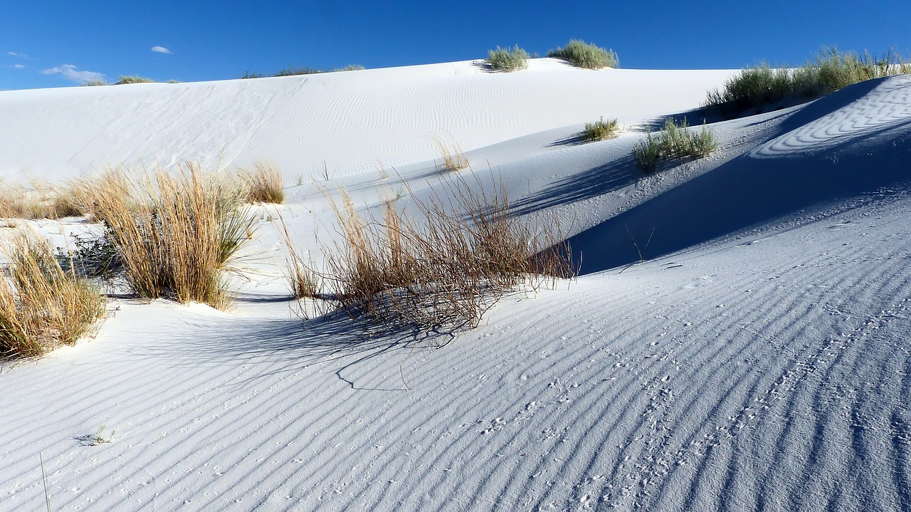 nature  sand  white free photo