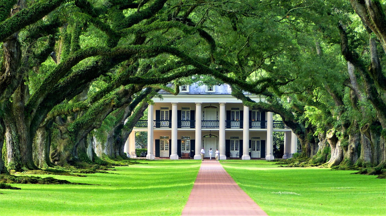 nature  plantation  louisiana free photo