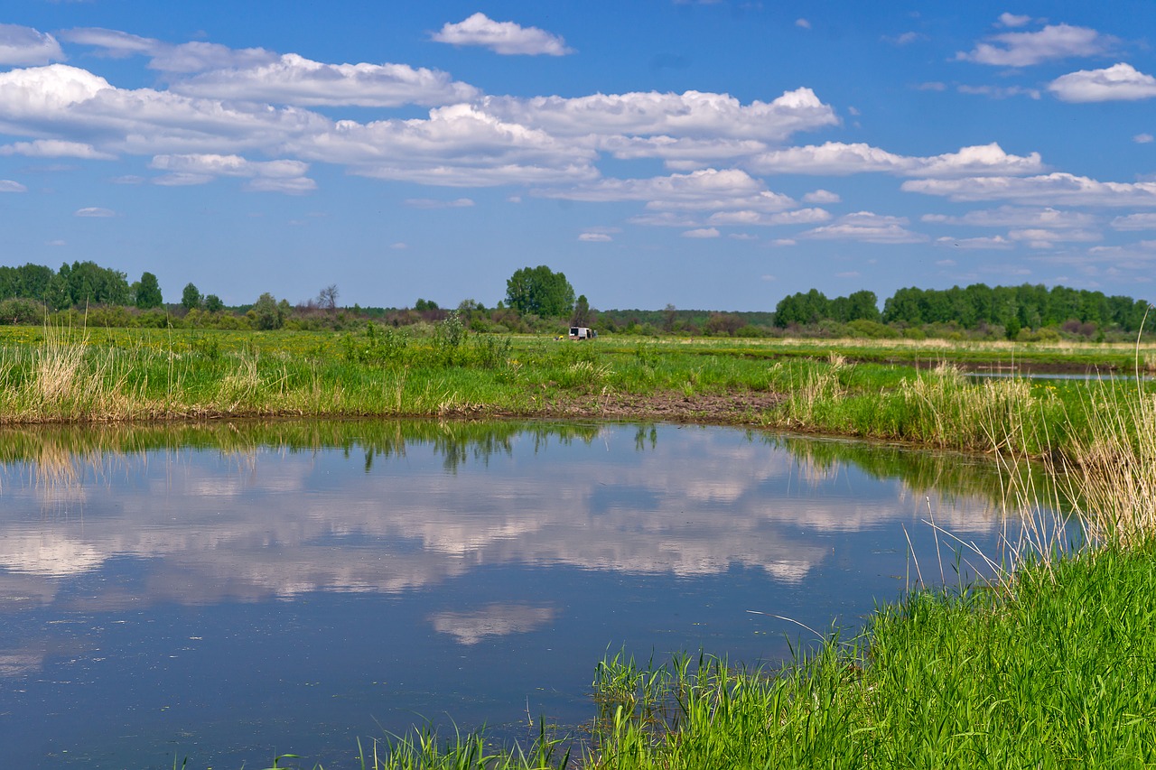 nature  water  sky free photo