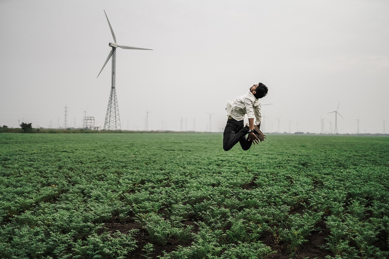 nature  wind  jump free photo