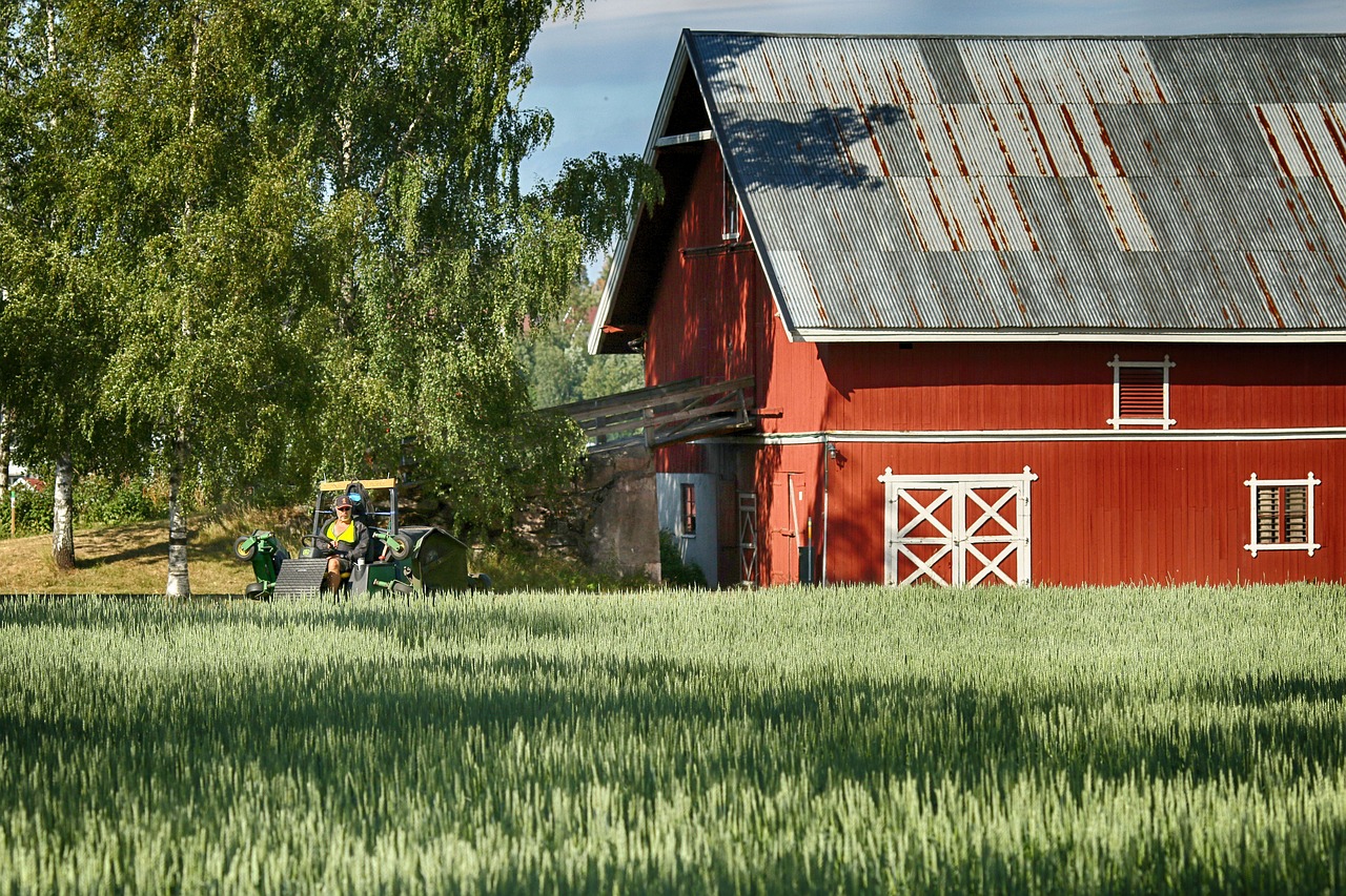 nature  farm  arable free photo