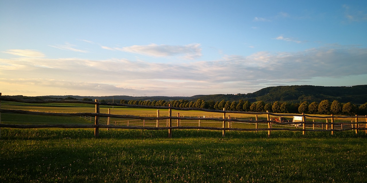 nature  fence  wood free photo