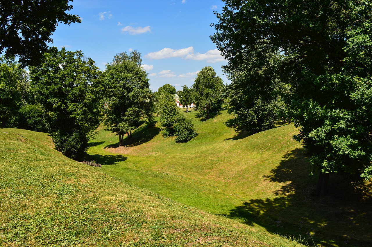 nature  ravine  summer free photo