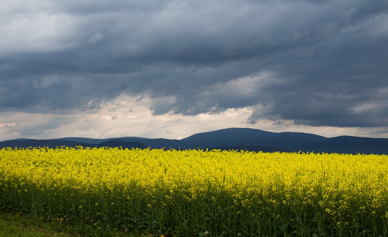 nature  landscape  clouds free photo