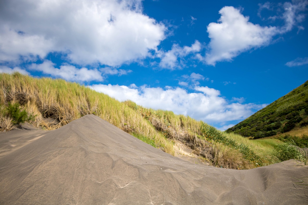 nature  landscape  dunes free photo