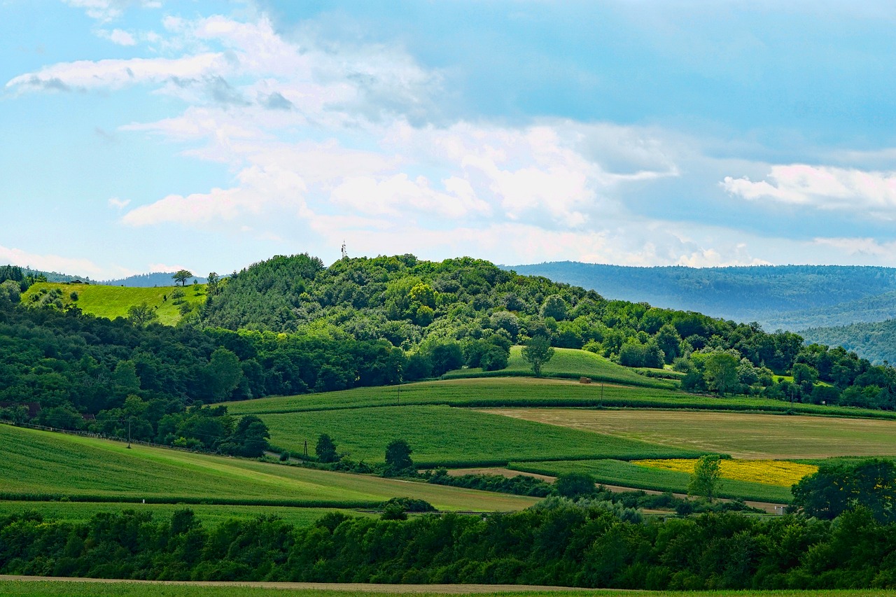 nature  landscape  panorama free photo