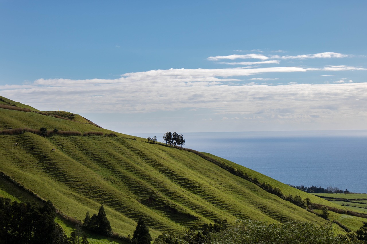 nature  landscape  terraces free photo