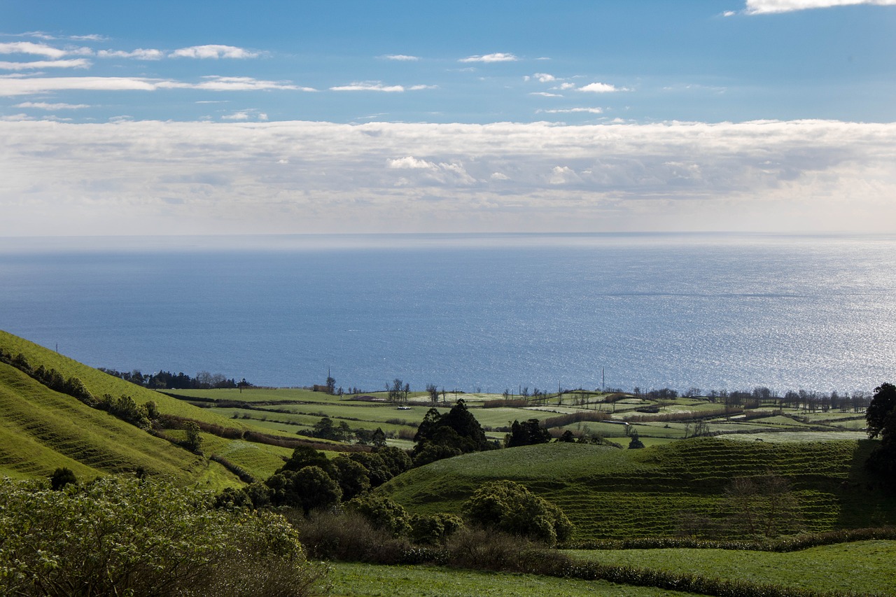 nature  landscape  terraces free photo