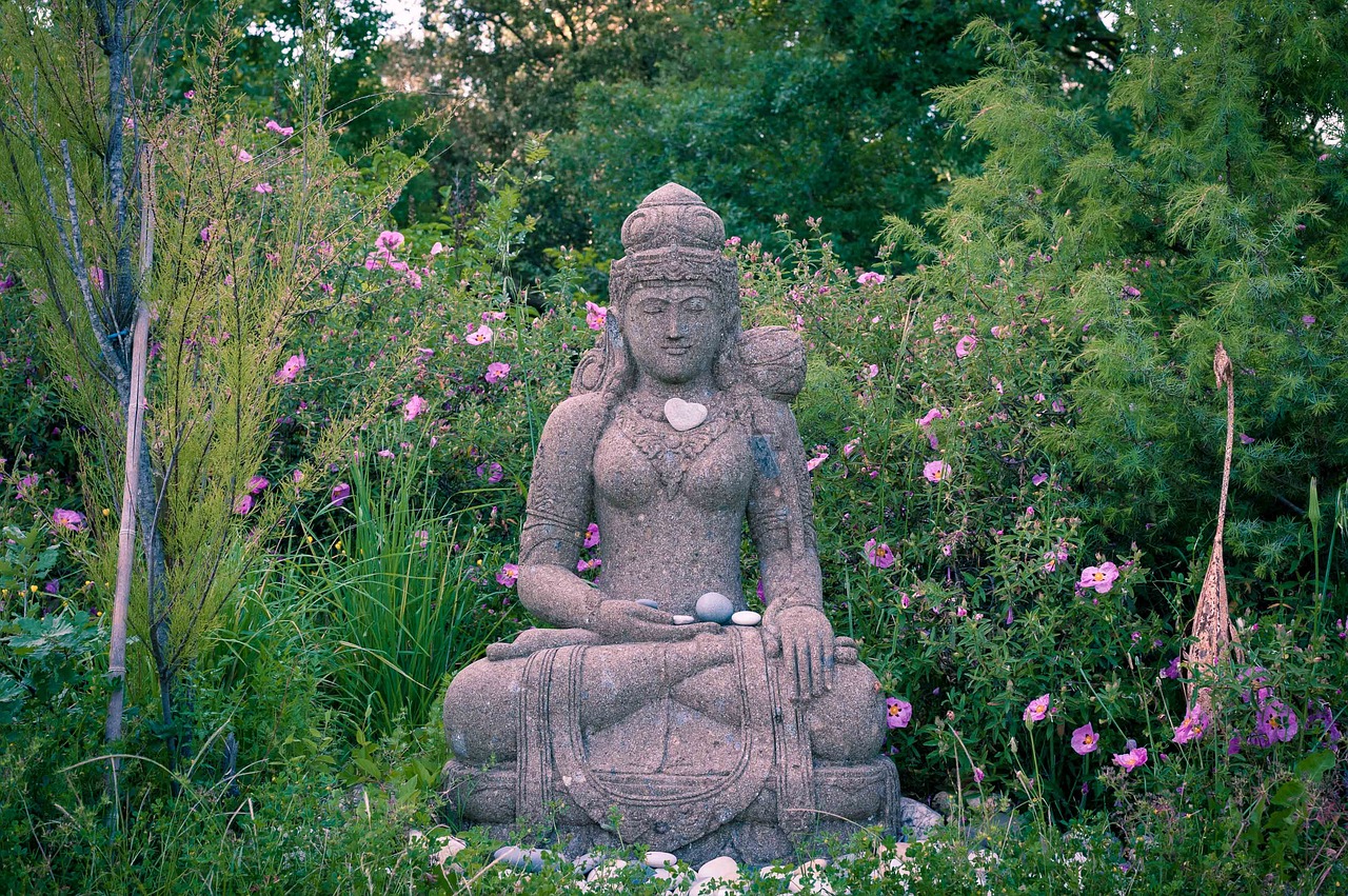 nature  buddha  meditation free photo