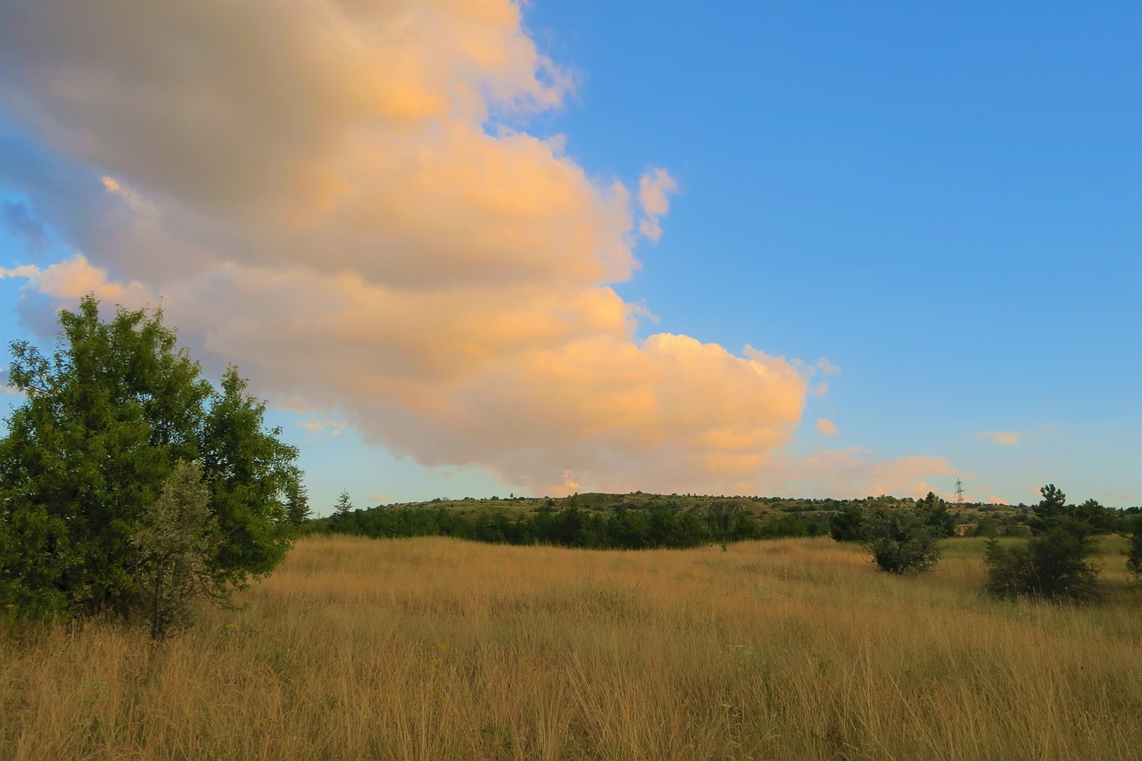 nature  cloud  clouds free photo