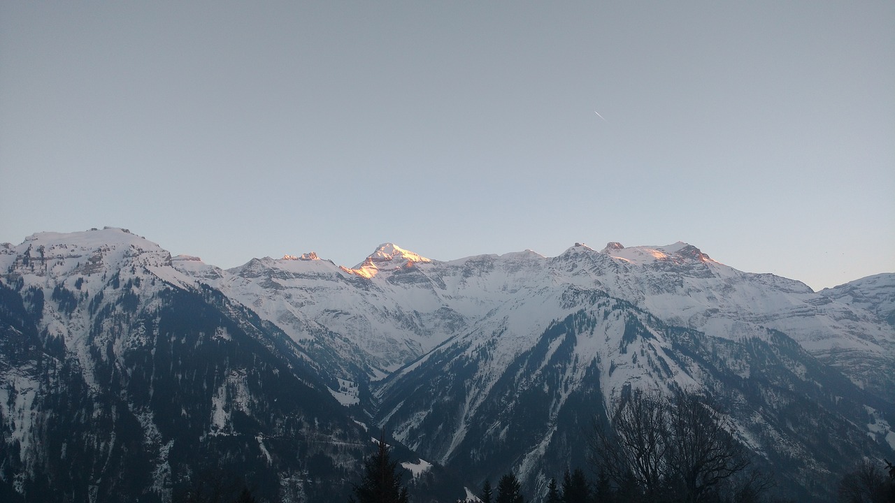 nature  alpes  alpine free photo