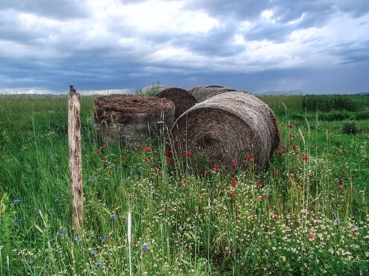 nature landscape close free photo