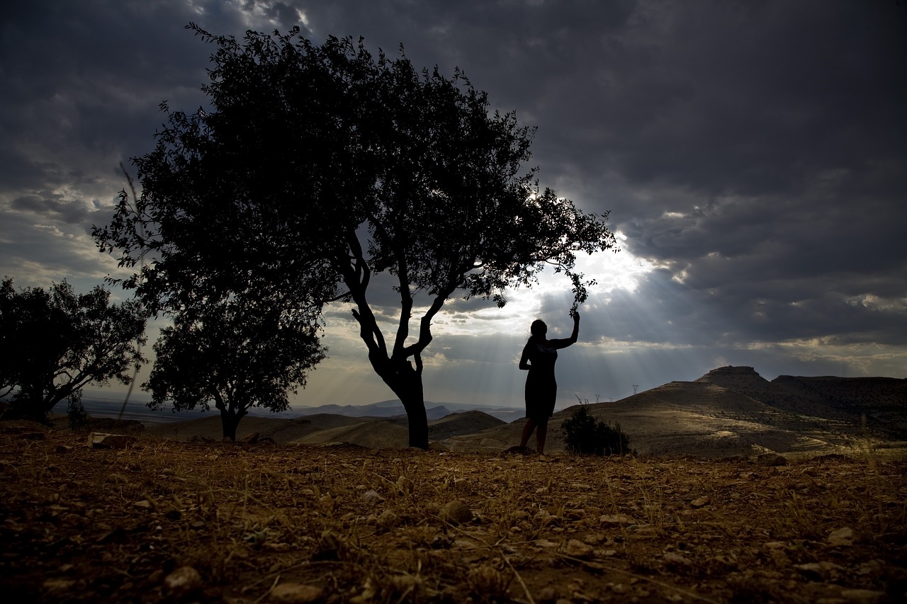 nature  woman  silhouette free photo