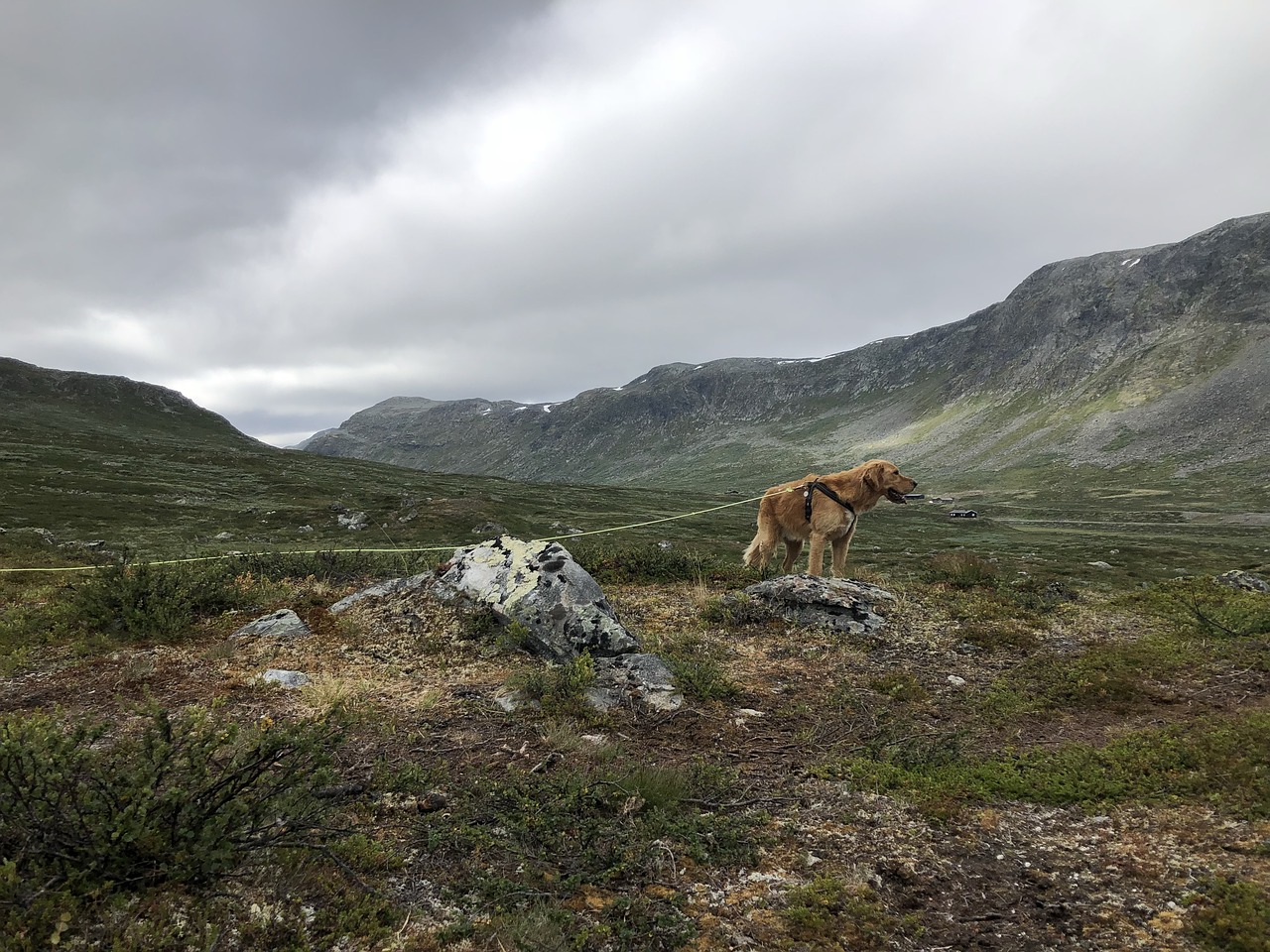 nature  landscape  sky free photo