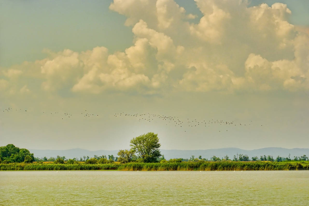 nature  landscape  zicksee free photo