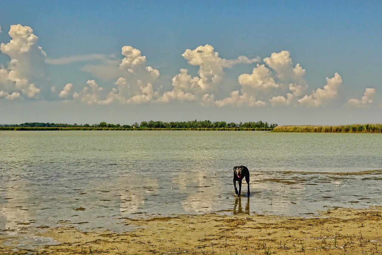 Am landscape. Озеро Амадока.