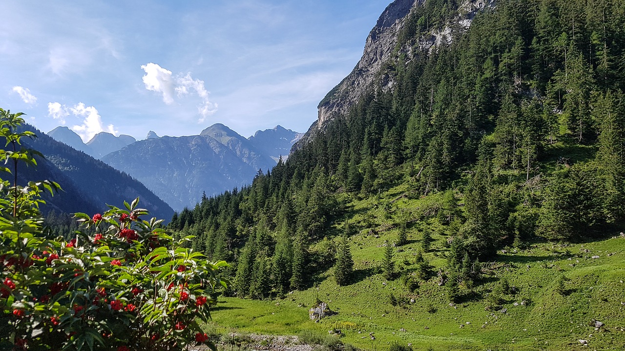 nature  tyrol  landscape free photo