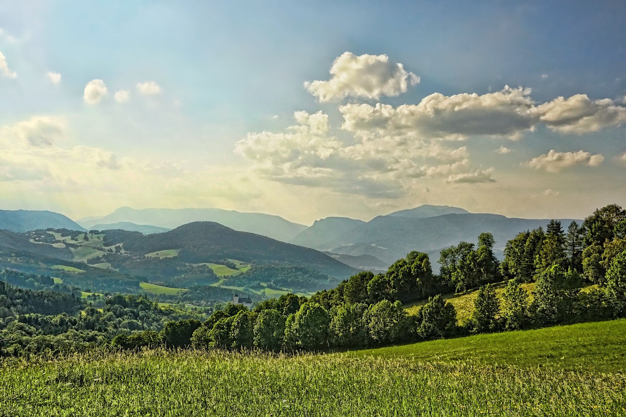 nature  landscape  grass free photo