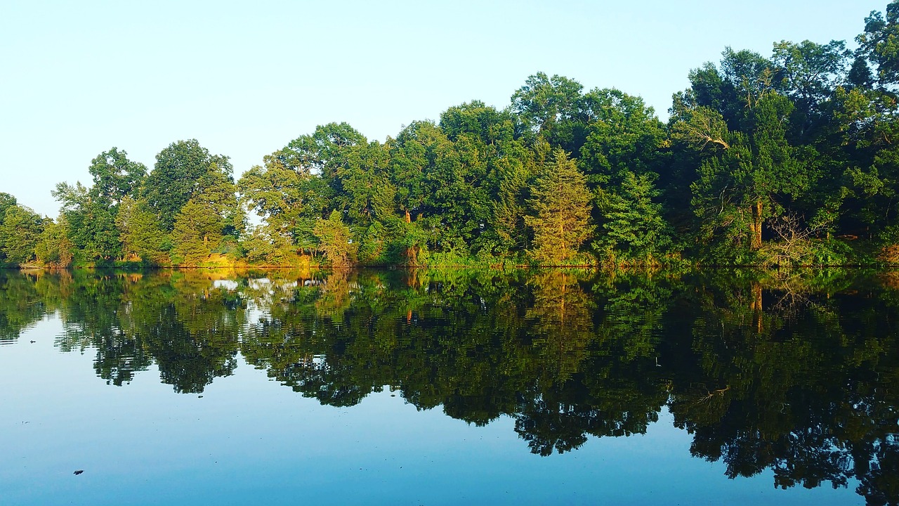 nature  water  lake free photo