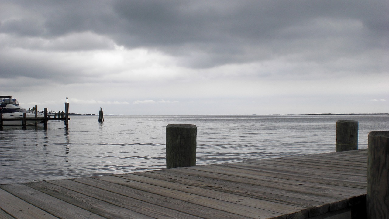 nature  water  dock free photo