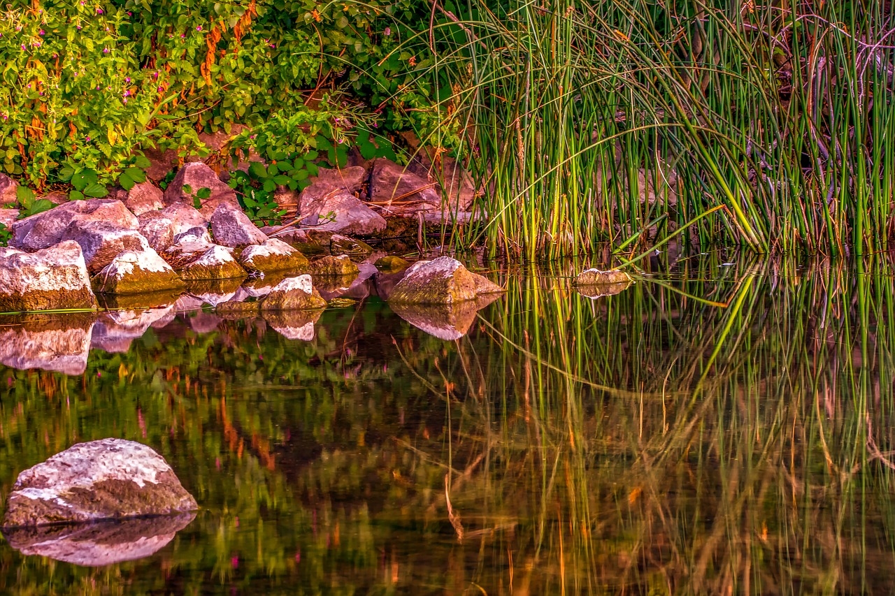 nature  landscape  lake free photo