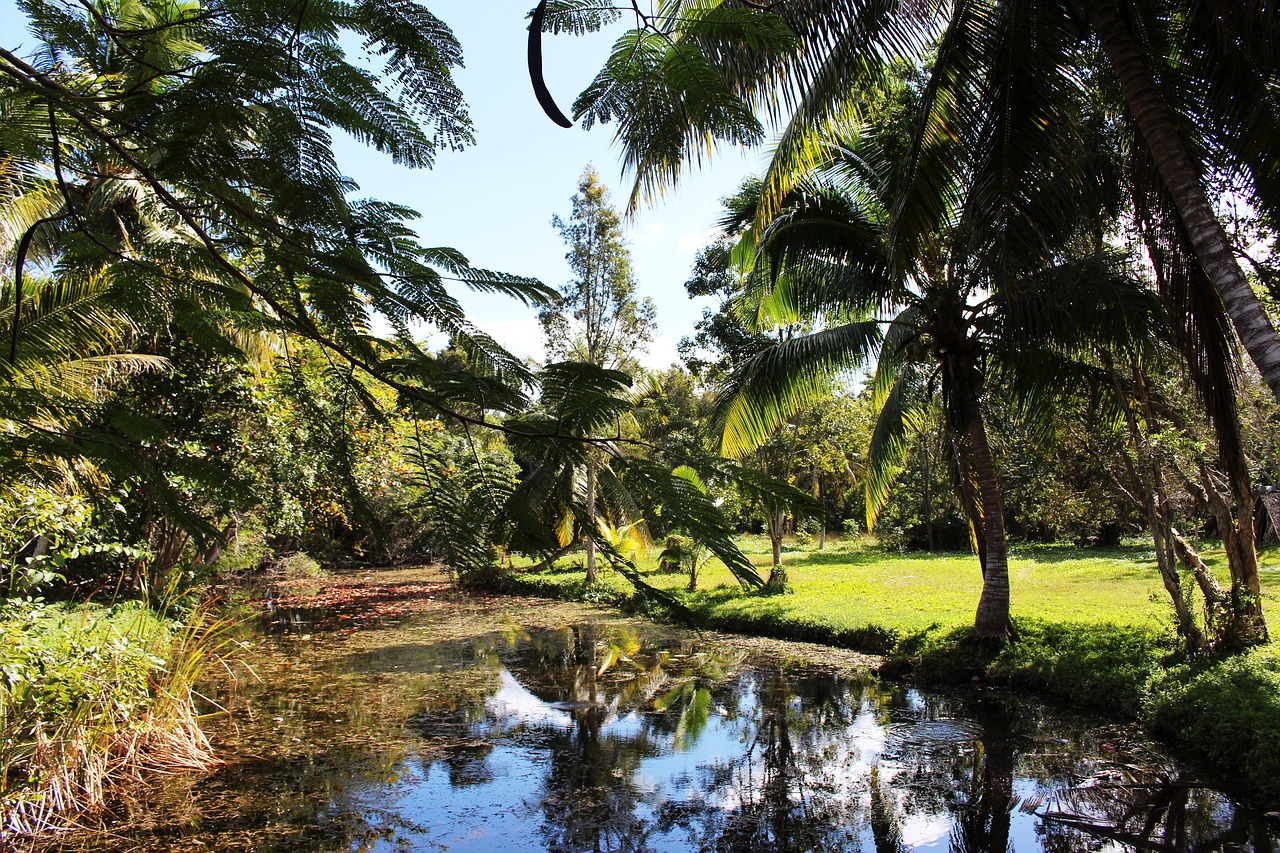 nature  lake  cuba free photo