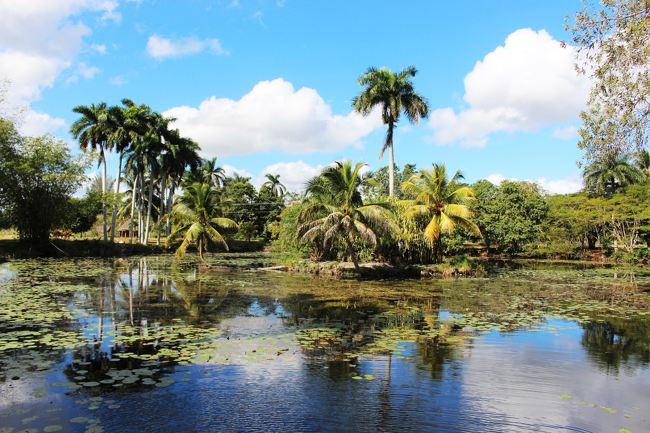 nature  water  lake free photo