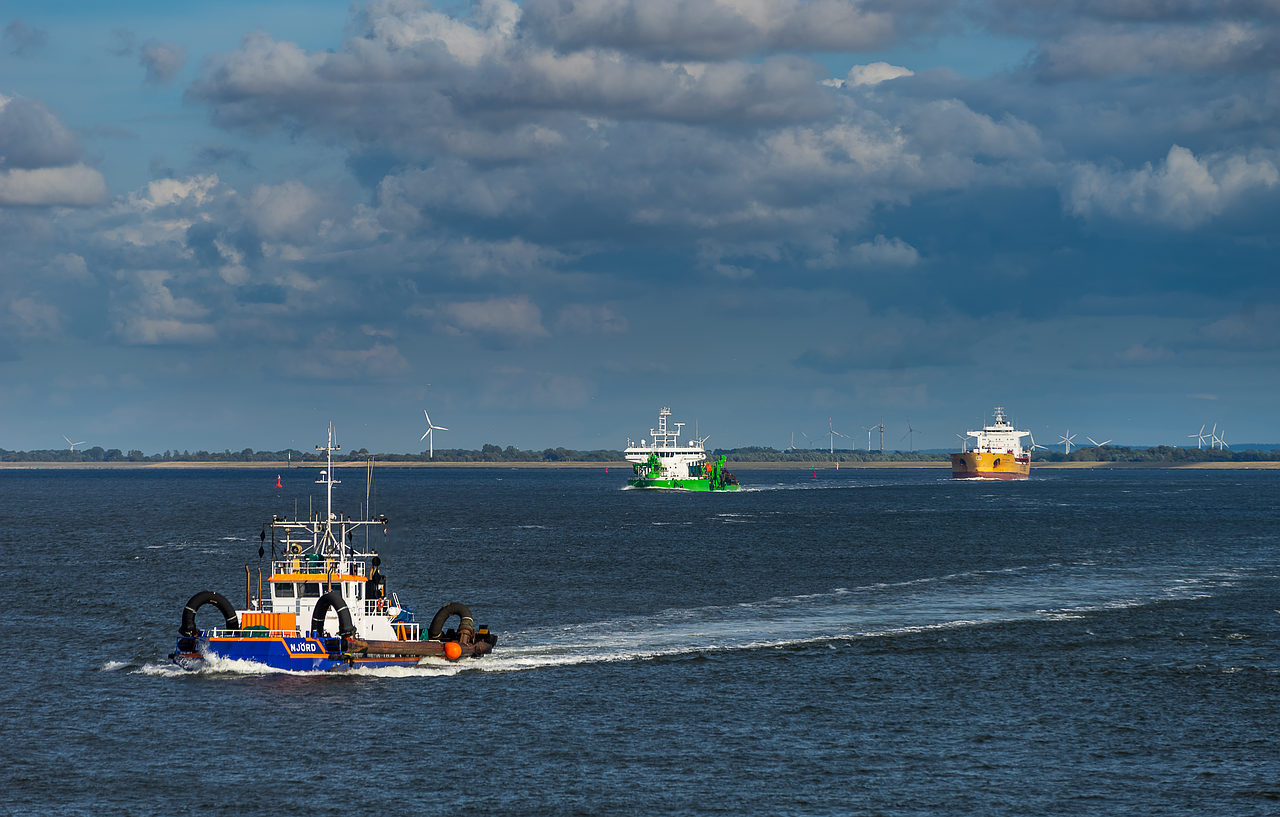 nature  landscape  mouth of the elbe river free photo