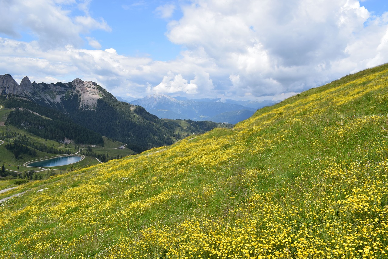 nature  mountain  summer free photo