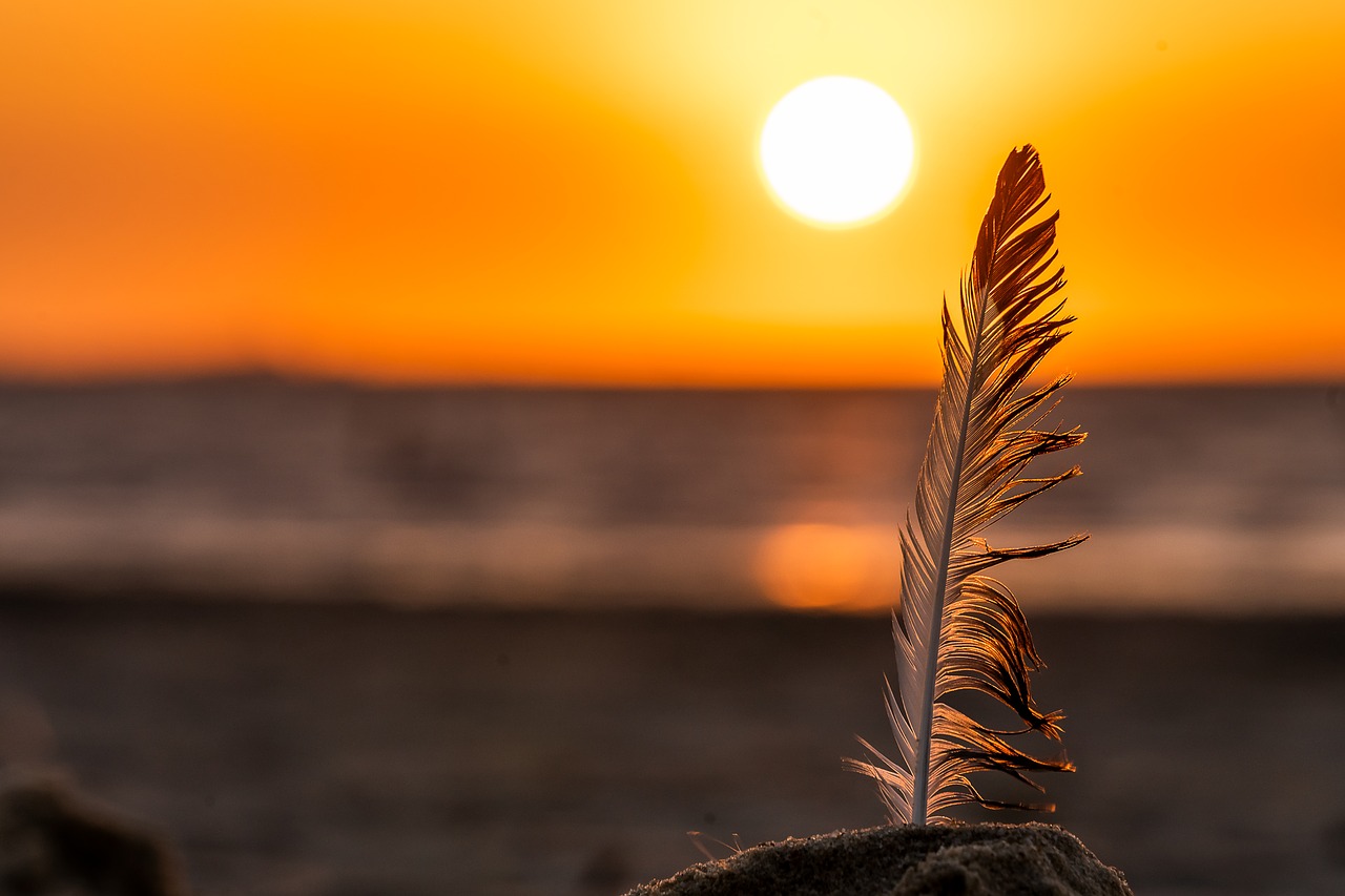 nature  sunset  sky free photo