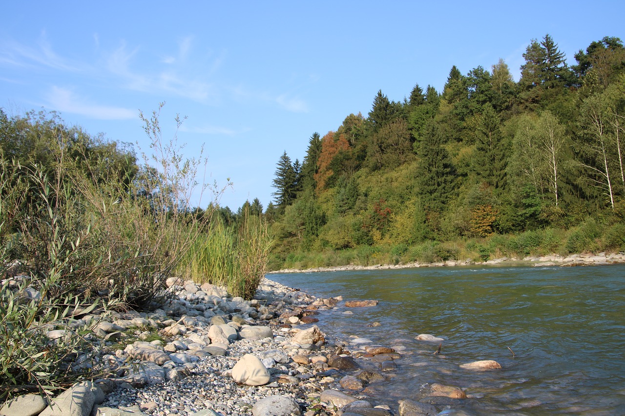 nature  water  landscaping free photo