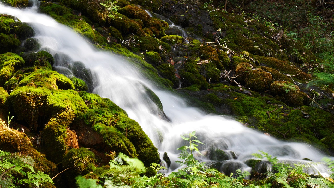 nature  waterfall  water free photo