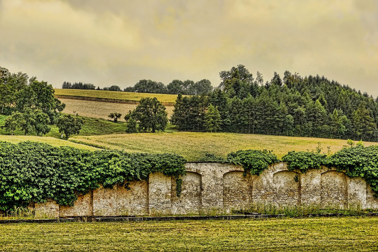 nature  wall  stone free photo