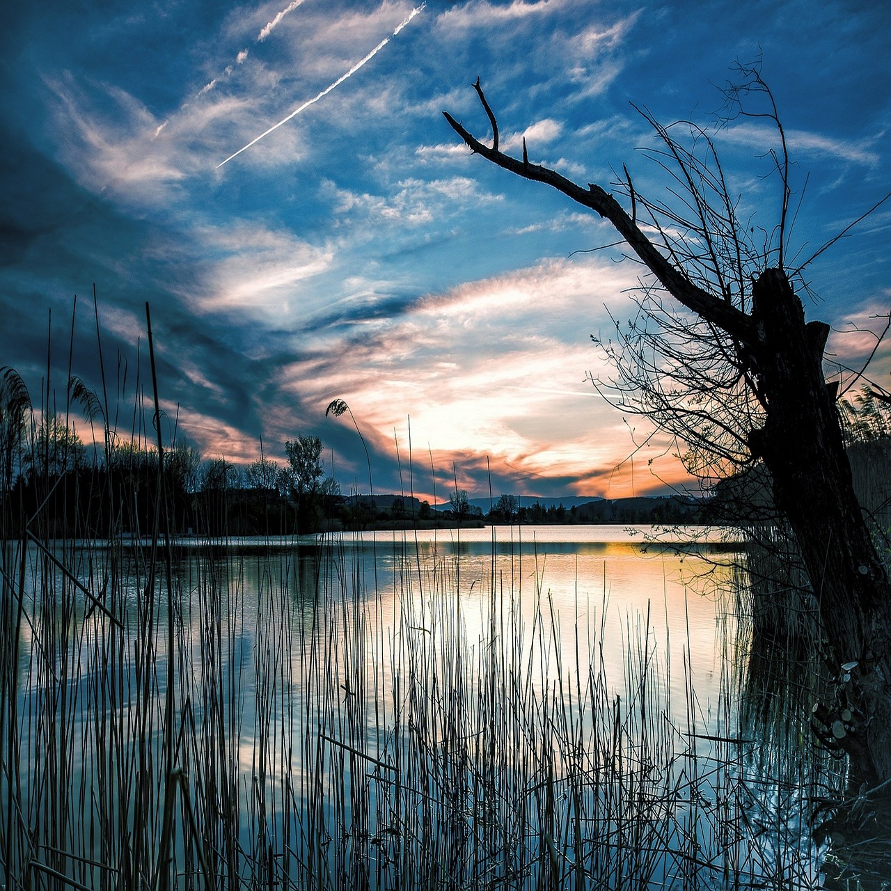 nature  lake  sunset free photo