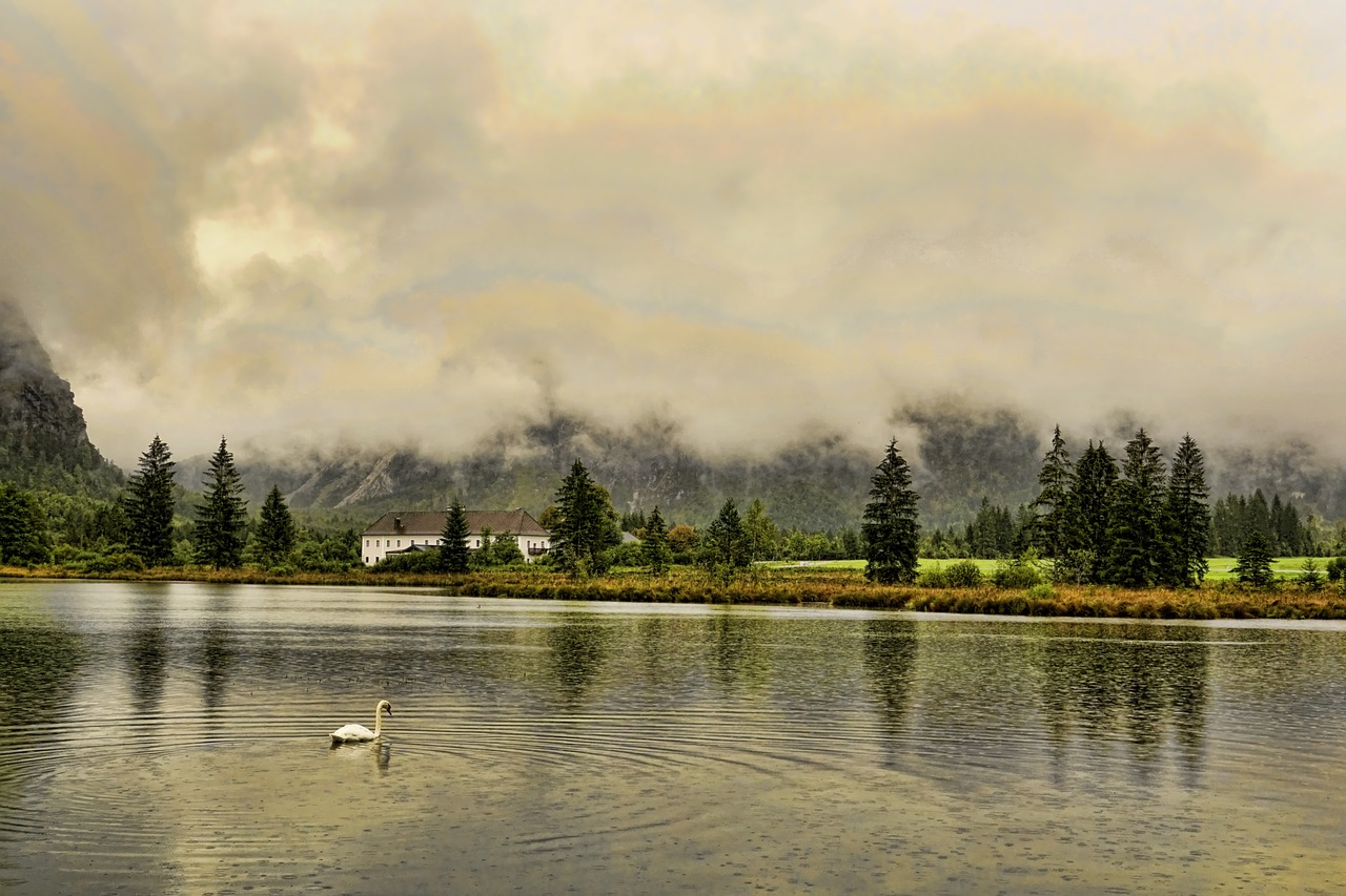 nature  lake  almsee free photo