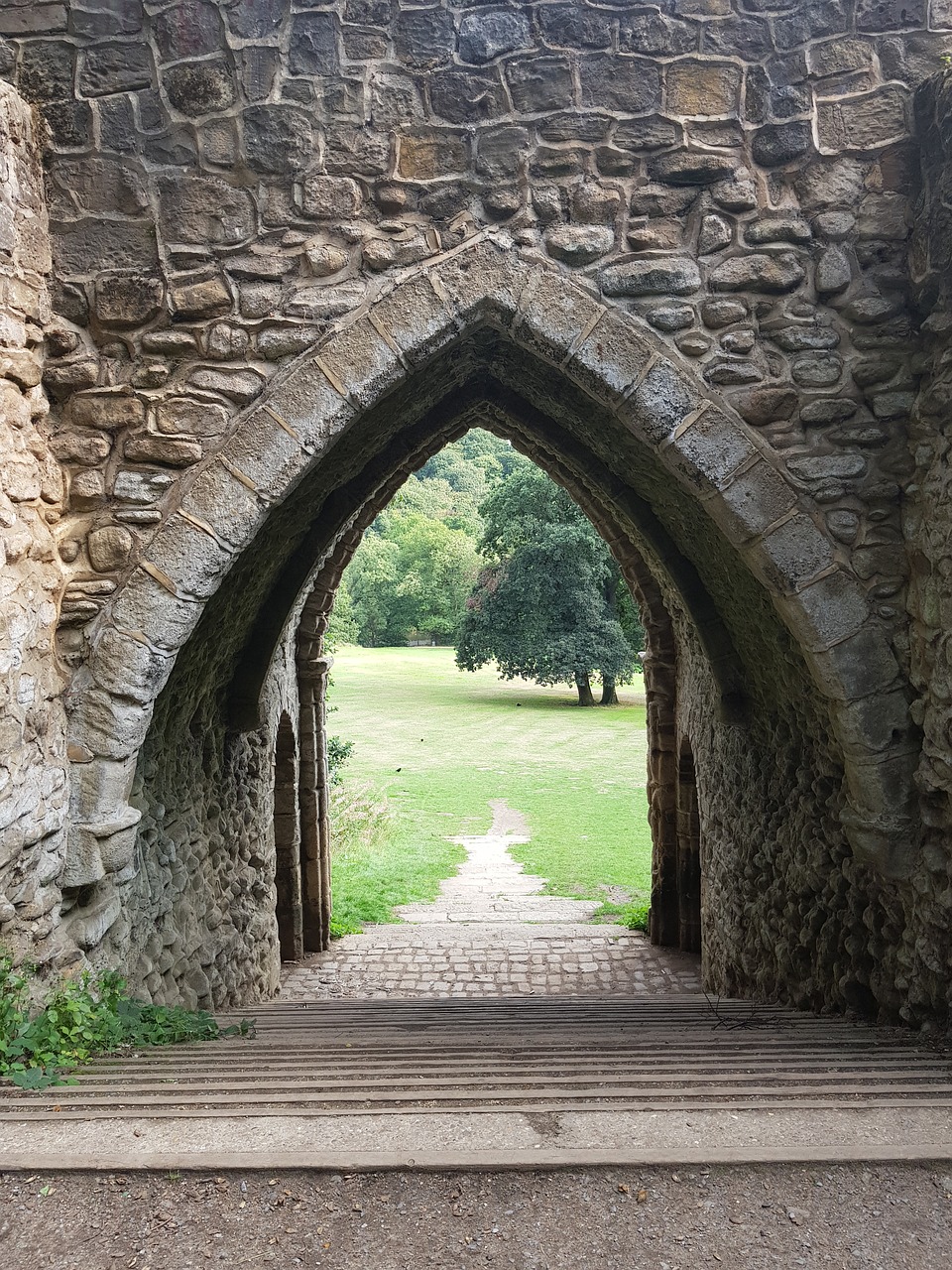 nature  castle  stairs free photo