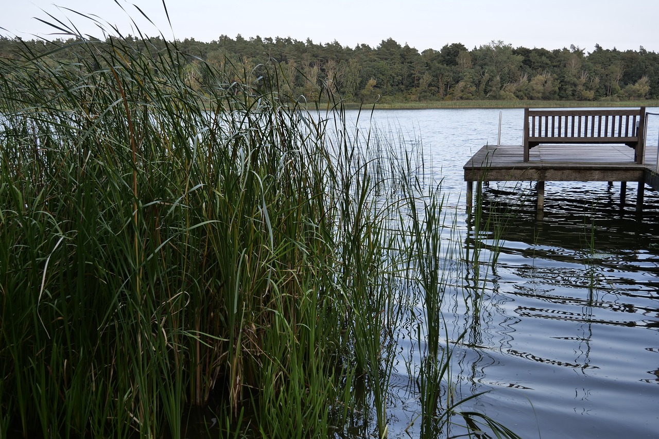 nature  landscape  water free photo