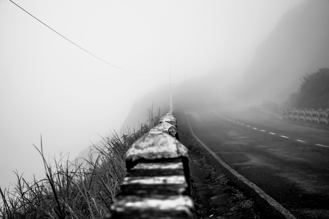 nature  bridge  fog free photo