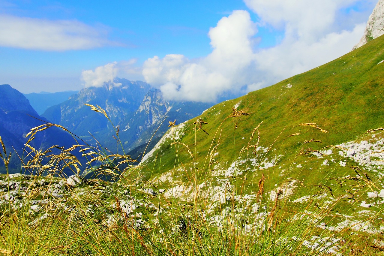 nature  mountains  scenic free photo